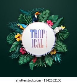 Birds collection and tropical plants background