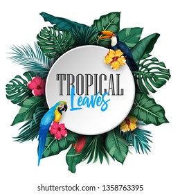 Birds collection and tropical plants background