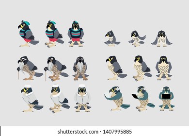 Birds collection Vector illustration of a peregrine falcon Isolated object set. a large set of falcons in different outfits. 