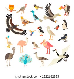 Birds collection vector set. Cartoon bird characters collection. Bird of the world. Isolated on white background