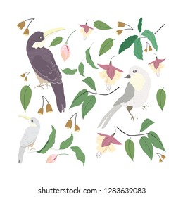 Birds color hand drawn vector character. Flowers and birds element set. 