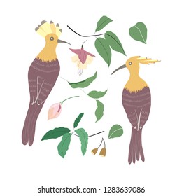 Birds color hand drawn vector character. Flowers and birds set. 