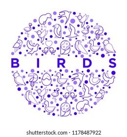 Birds concept in circle with thin line icons: dove, owl, penguin, sparrow, swallow, kiwi, parrot, eagle, humming bird, pink flamingo. Modern vector illustration, print media template.