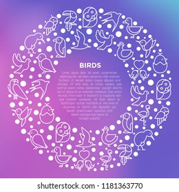 Birds concept in circle with thin line icons: dove, owl, penguin, sparrow, swallow, kiwi, parrot, eagle, humming bird, pink flamingo. Modern vector illustration, print media template.