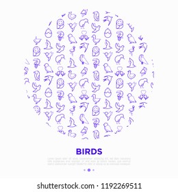 Birds concept in circle with thin line icons: dove, owl, penguin, sparrow, swallow, kiwi, parrot, eagle, humming bird, pink flamingo. Modern vector illustration, print media template.