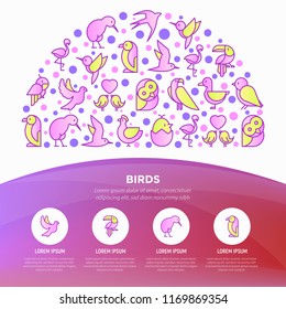 Birds concept in half circle with thin line icons set: dove, owl, penguin, sparrow, swallow, kiwi, parrot, eagle, humming bird, pink flamingo. Modern vector illustration, print media template.