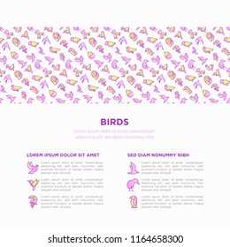 Birds concept with thin line icons set: dove, owl, penguin, sparrow, swallow, kiwi, parrot, eagle, humming bird, pink flamingo. Modern vector illustration, print media template.