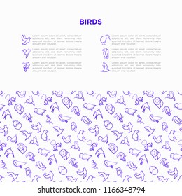 Birds concept with thin line icons set: dove, owl, penguin, sparrow, swallow, kiwi, parrot, eagle, humming bird, pink flamingo. Modern vector illustration, print media template.