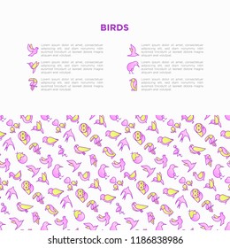 Birds concept with thin line icons: dove, owl, penguin, sparrow, swallow, kiwi, parrot, eagle, humming bird, pink flamingo. Modern vector illustration, print media template.