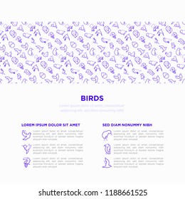 Birds concept with thin line icons set: dove, owl, penguin, sparrow, swallow, kiwi, parrot, eagle, humming bird, pink flamingo. Modern vector illustration, print media template.