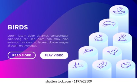 Birds concept with thin line isometric icons: dove, penguin, sparrow, kiwi, parrot, humming bird, pink flamingo. Modern vector illustration, web page template on gradient background.