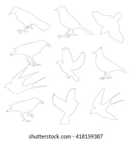 birds contour on white background,vector illustration