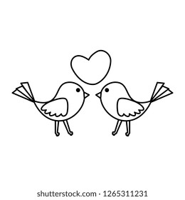 birds couple with heart love