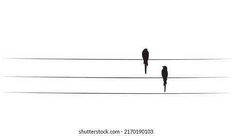 Birds couple on wire, vector. Minimalist black and white art design. Birds silhouettes on wire isolated on white background, illustration. Wall decals, artwork