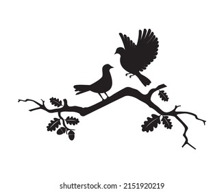 Birds couple silhouette on branch, vector. Birds in love making heart. Wall Decals, art design, artwork, wall decoration. Bird silhouette on branch isolated on white background, romantic.