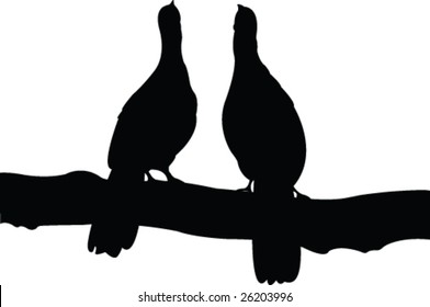 birds couple silhouette - vector
