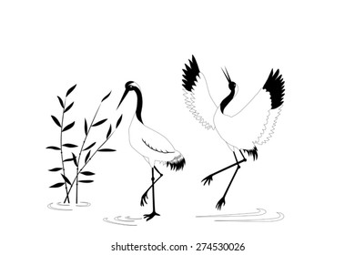 Birds crane nature black and white illustration vector