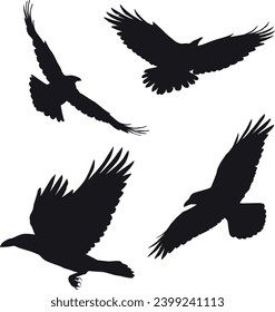 Birds and Crow silhouette set vector illustrations download