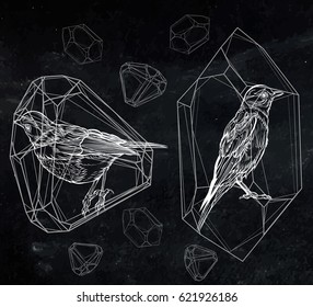 Birds in a crystal. Vector illustration isolated on background chalkboard. Detailed drawing of a bird. Handmade.Tattoos, prints on T-shirts