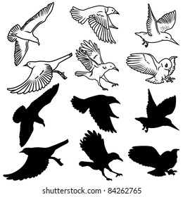 Birds Design Set