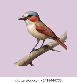 Birds design vector isolate illustration 