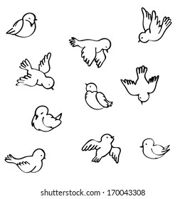 Birds in different positions