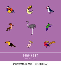 Birds are different species. Colour icons set. Can be used for logo, print, web site