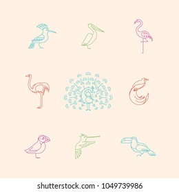 Birds are different species. Line icon set. Can be used for logo, print, web site