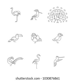 Birds are different species. Linear icons set. Can be used for logo, print, web site