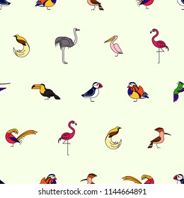 Birds are different species, seamless pattern