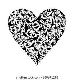 birds are different ,vector illustration