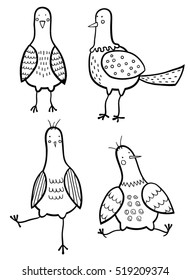 Birds doodles