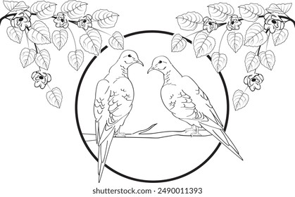 birds doves with flowers design element