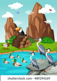 Birds and ducks by the pond illustration