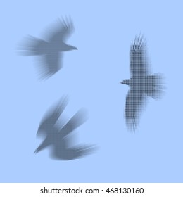 Birds, eagles vector eps 10 illustration. Simply made of black and grey dots. Concept of fast and free movement.