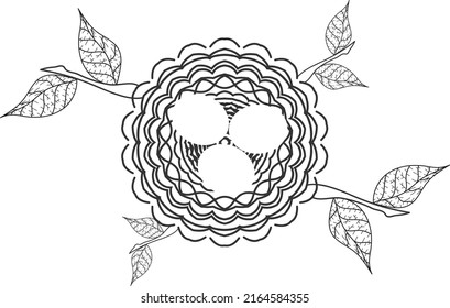 birds egg in the nest on tree art vector