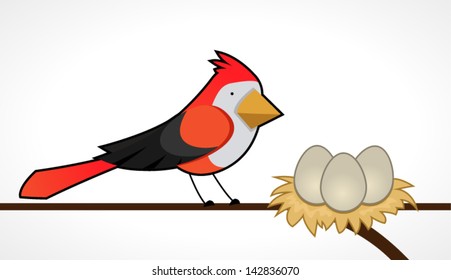 Birds and eggs