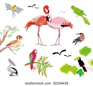Birds. Elements for design. Vector illustration.