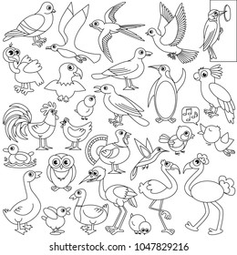 Birds elements set, collection of coloring book template, the group of outline digital elements vector illustration, kid educational game page.