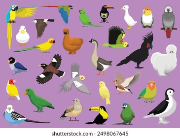 Birds Exotic Pet Cartoon Vector Illustration Isolated Character Set