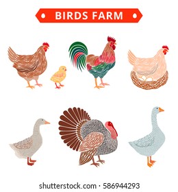 Birds farm. Poultry birds: duck, rooster, chick, goose,hen, turkey.