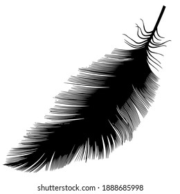 Bird's feather close-up. Black silhouette on a white background. Material for Photoshop, printing on paper or fabric. Vector graphics.