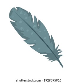 Birds feather in gray-blue color. Vector, white background, isolated.