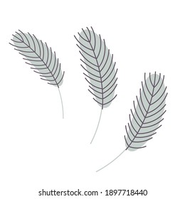  Birds feather isolated on a white background. Chicken or goose feather. Design for Easter, Christmas, postcards, stickers. Flat vector illustration