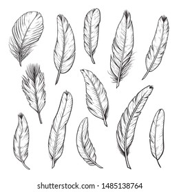 Birds feathers hand drawn illustrations set. Minimalist black ink plumage sketches. Ornithology species monochrome plumelets collection. Plumes and quills isolated on white background