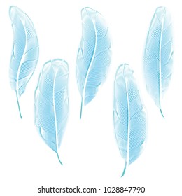 The bird's feathers set in cold blue color gamut. Soft gradient elements for card or background design. Vector illustration isolated on white background