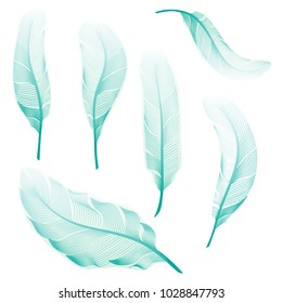 The bird's feathers set in cold blue color gamut. Soft gradient elements for card or background design. Vector illustration isolated on white background