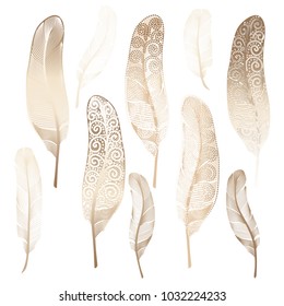 Bird's feathers set. Soft gradient elements for card or background design. Vector illustration isolated on white background