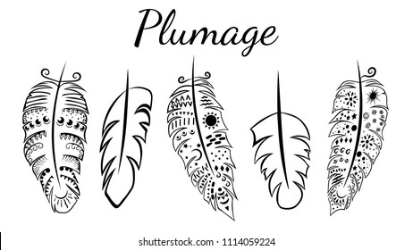 Bird's feathers set. Vector illustration isolated on white background