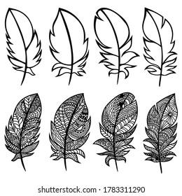 Bird's feathers set. Vector illustration isolated on white background.